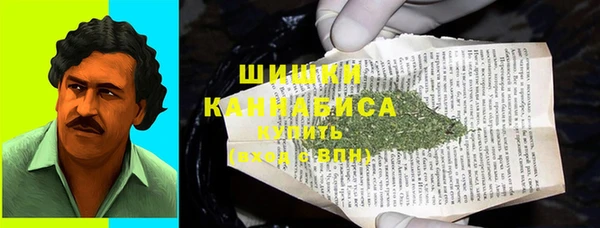 спайс Богданович