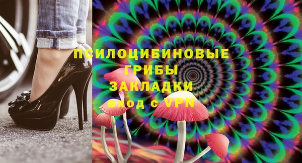 спайс Богданович