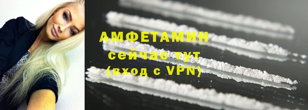 спайс Богданович