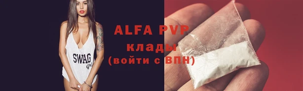 спайс Богданович