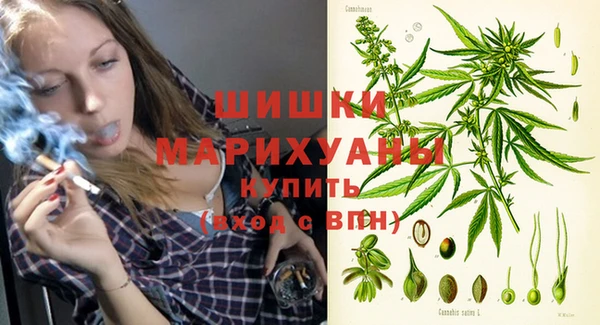 спайс Богданович