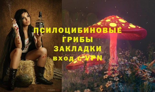 кокс Богородицк