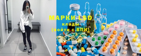 спайс Богданович