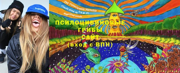 прущая мука Богородск