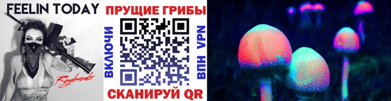Псилоцибиновые грибы Magic Shrooms  хочу   Долгопрудный 